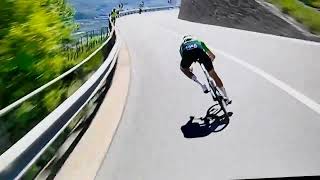 Giulio Pellizzari/Tour des Alps/ Winner/ Afdalen/Descent/Discesa/24 April 2026