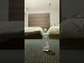 Am I fast
