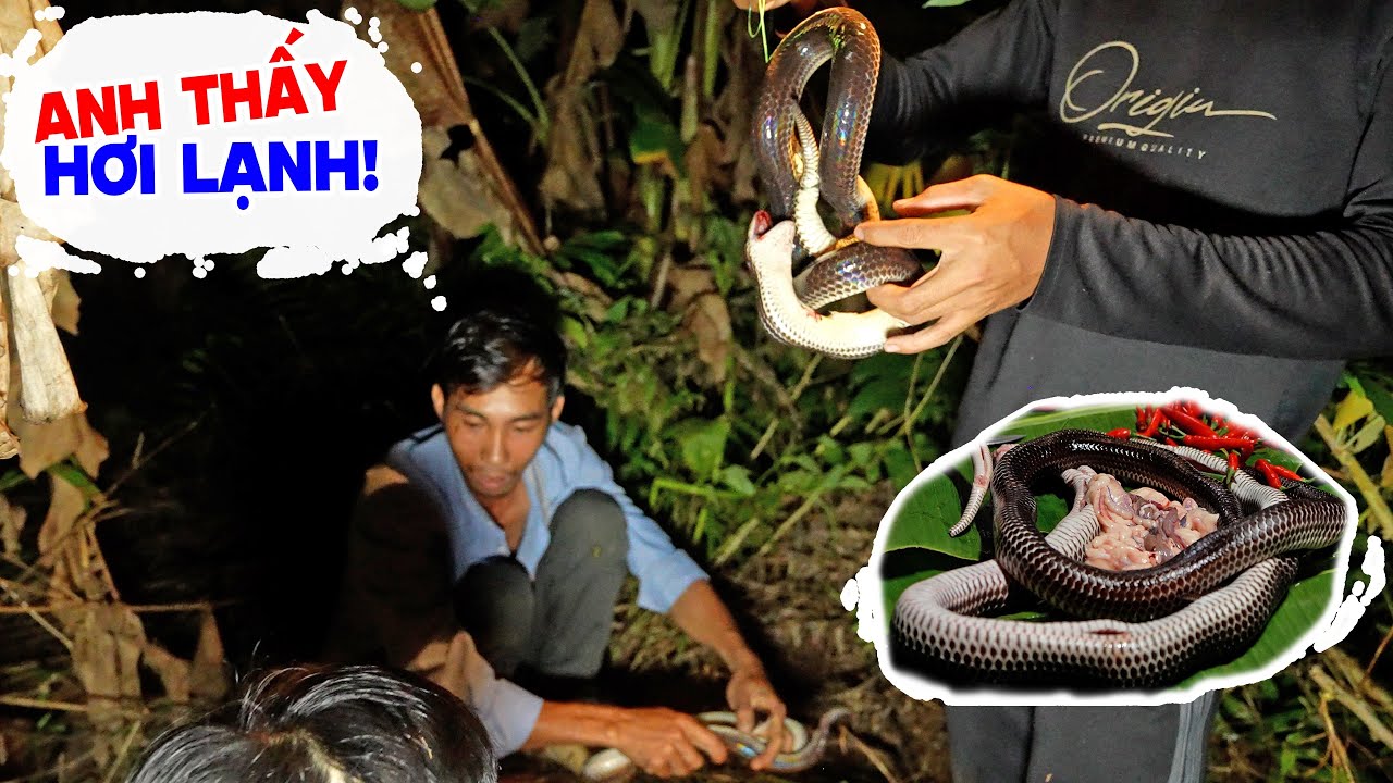 Thả Câu Rắn Hổ Hành Ngoài 