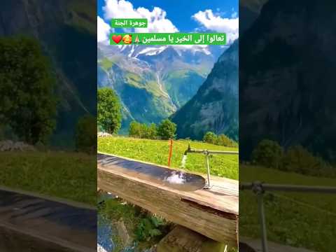 أنشودة تعالوا إلى الخير يا مسلمون