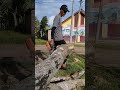 kayu rambutan vs new west 257. .