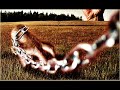 Award-winning exclusive: A slave in modern-day Britain