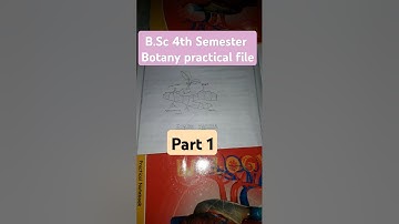 Practical file B.Sc 4th Semester Botany #like #motivation #file #views #motivation #viralvideo