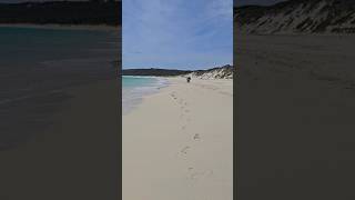 Hamelin Bay Beach, no visual of sting ray 🥲 🇦🇺
