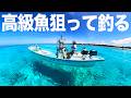 急遽、高級魚を狙ったら本当に釣れたwww漁協に売ったら高級魚の値段に驚いた