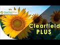 Що таке система Clearfield Plus? Для чого вона потрібна?