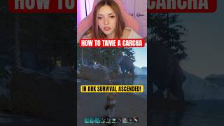 How to Tame a 145 Carcharodontosaurus in Ark Survival Ascended! #arksurvivalascended #arksurvival