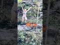 Pretty Girls Enjoying Gentle Waterfall Adventures Extremejump Travel Usa Waterfall