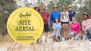 Onslow Drone Footage Of Rosemary Scrub Rescue Site Day 1