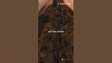 The Science of Soil Compaction: How It Affects Your Plants