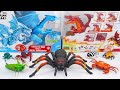 [🦈Toy Asmr🦈] Zuru Robo Alive: Ice Dragon - Great White Shark &amp; Giant Fly | Satisfying Unboxing ASMR
