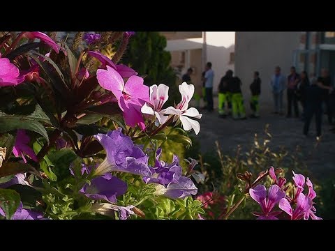 Saint-Cyr-en-Val souhaite obtenir la Fleur d'Or