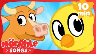 Fun with the Farm animals!🎶 | Morphle's Sing Along | Nursery Rhymes and Kids Songs