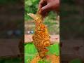 Fish fry in Banana leaf || Masala Fish Fry #food #cooking #asmr #shorts