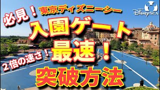 知らなきゃソン ディズニーシーに２倍の速さで入園する方法 知って得するディズニーリゾート 東京ディズニーシー Youtube