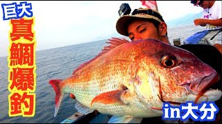 素人が海に船を出すと真鯛が釣れまくる！？