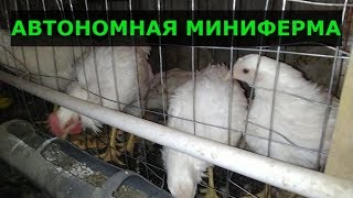 Видео Автономная Мини ферма на даче (автор: Жизнь на даче)