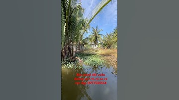 T.720 siêu phẩm đất vườn đường xe ô tô ao cá cực đẹp hàng rào kiên cố xây nhà vườn miền Tây quá ngon