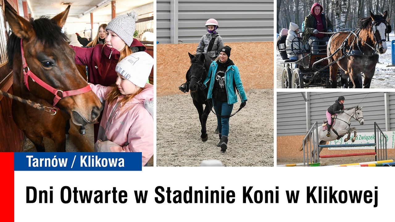 Dzień otwarty w Stadninie Koni w Klikowej