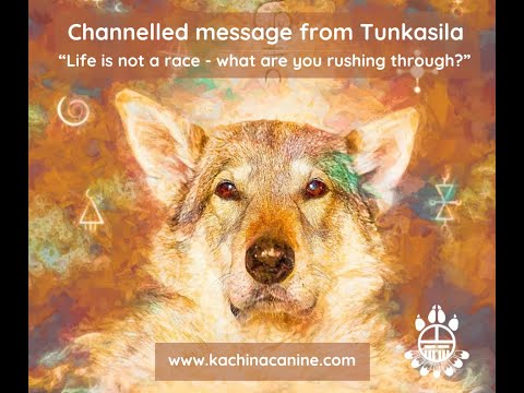 Life is not a race. What are you rushing through?