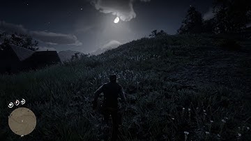 Red Dead Redemption 2 Tree Flickering #2