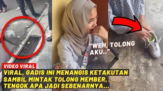 Download Lagu VIRAL, GADIS NI MENANGIS KETAKUTAN SAMBIL MINTA TOLONG MEMBER, TENGOK APA JADI SEBENARNYA... MP3