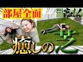【DIY】人工芝で作る最先端お洒落空間！無機質床を全面緑化しちゃいました！【芝えもん】