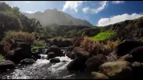 الشيخ عبدالولي بن محمد الأركاني ،ولد بمكة المكرمة عام 1983 ,آيات من سورة النور .