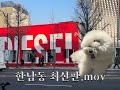 날씨에게 농락 당한 1분기 끝자락.. 🍋  l 한남동 구경 tip l 더트러플베이커리키친 l 타비오 l 르메르 l 망고매니플리즈 l 샵아모멘토 l 아쿠아한남 까지..