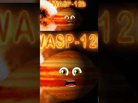 Wasp 12B Fun Facts