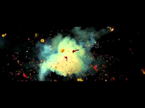 Exploding Flower Fireworks