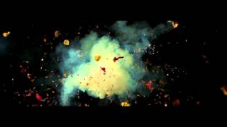 Exploding Flower Fireworks