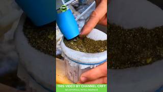 RIVER SAND GOLD EXTRACTION SYSTEM — gravity separation precision for 1KG weekly yield #Gold