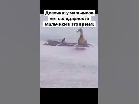 Мемные шорты #2 #shorts - YouTube