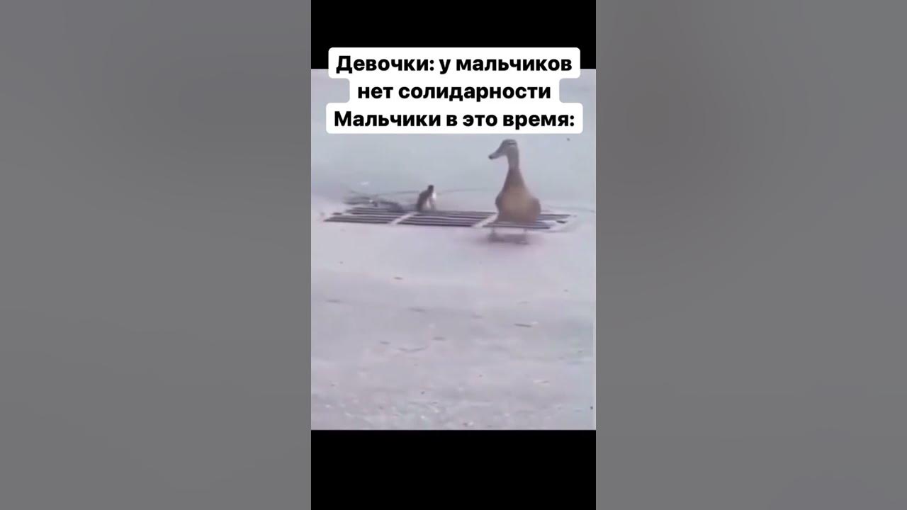 Мемные шорты #2 #shorts - YouTube