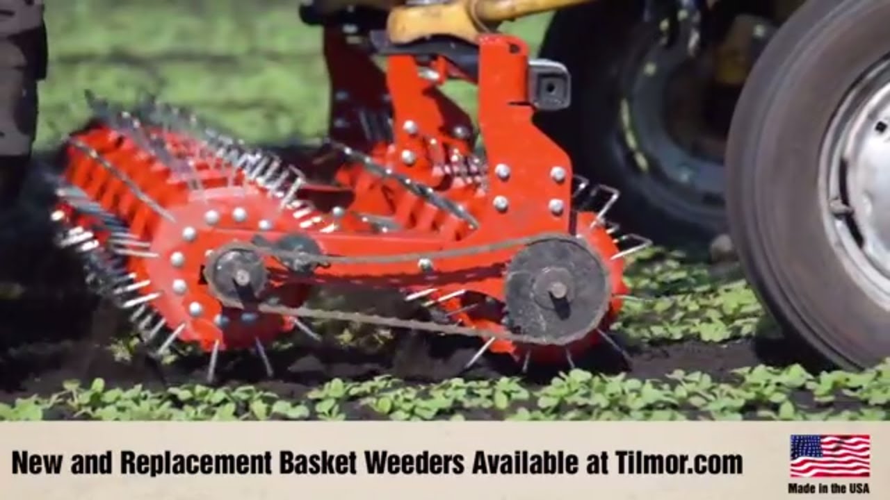 Chemical Free Weeding Tilmor Basket Weeder YouTube