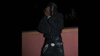 New Version Playboi Carti - Poseidonbabyboi Leak Highest Quality