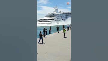 Massive Cruise Ship Sinks Near the Harbor!