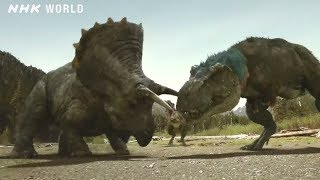 Tyrannosaurus vs Triceratops - DINOSAURS screenshot 4