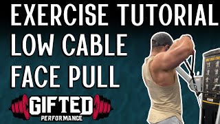 Exercise Tutorial - Low Cable Face Pull