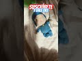Pobre pocoyo:(#humor
