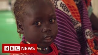 The ongoing struggle for peace in Darfur - BBC News