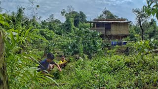 Berkebun di Hutan | Perjuangan Kami Sebagai Petani di Kebun Hutan