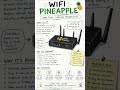 🍍 Learn WiFi Pineapple #WiFiPineapple #EthicalHacking #CyberSecurity #TechReels #LearnMoraAi