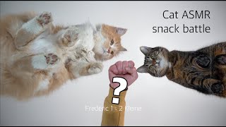 Cat ASMR Snack battle on glass table by FurryFritz - Catographer 9,223 views 2 years ago 58 seconds