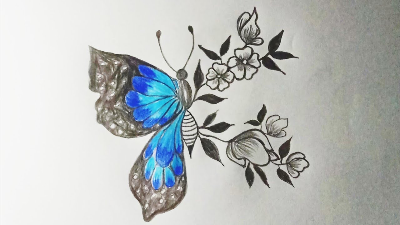 How to draw butterfly with flowers butterfly drawing flowers
