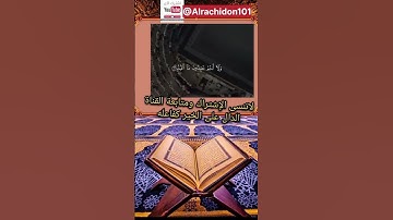 سورة الكافرون #ياسر_الدوسري #القرآن #اكسبلور #duet #beautiful #مصر #الجزائر #المغرب #تيك_توك #fly