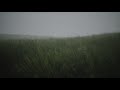 video 2025 11 09 17 50 28