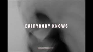 Sigrid - Everybody Knows (Mahmut Orhan Remix) | UNRELEASED Resimi