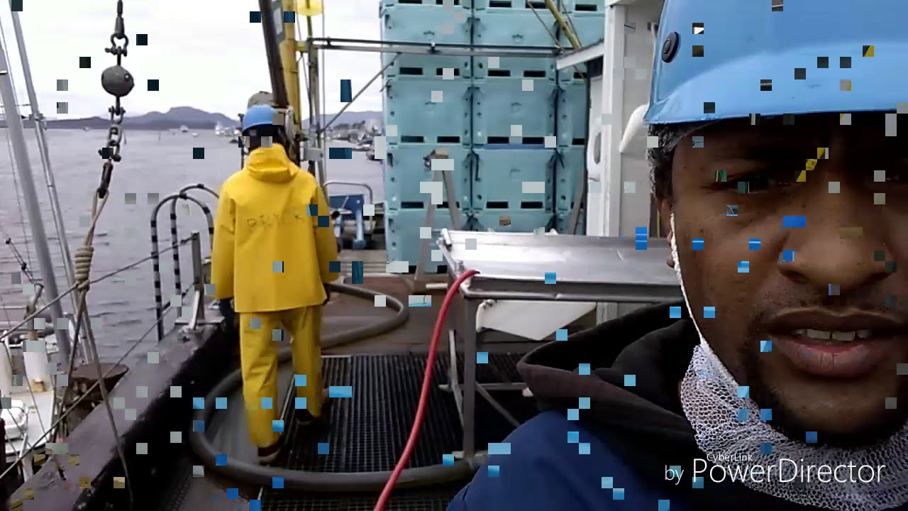 Alaska Fish Processor Working the docks and Rack Alley YouTube